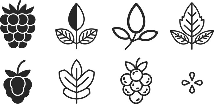 Black and white berry and leaf line icons set, vector illustrations of raspberries, blackberries and various organic foliage isolated on white background.