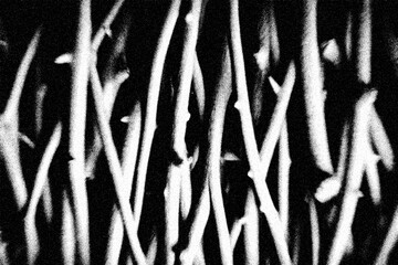 Raw Monochrome Surface Texture with Noise