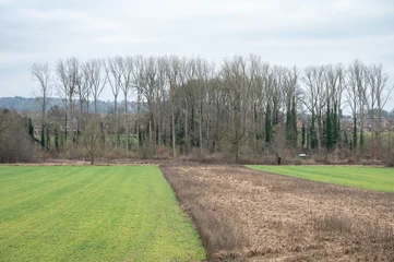 Fototapete Rund Schlafzimmer Agricultural Fields in Kessel-Lo Outskirts  © Werner