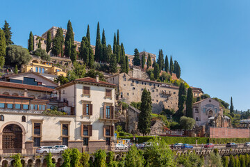 Historic buildings and cypress trees on hill in Verona, Italy