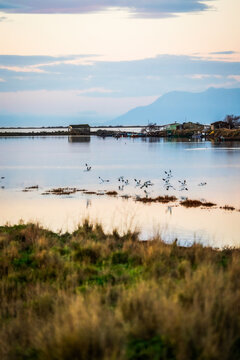 Sunset or sunrise on National park of Evros Delta, near Alexandroupolis and Turkish border, Dadia forest and protected wetland, bird migratory season
