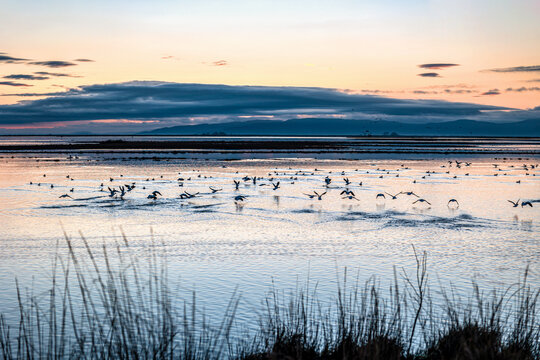 Sunset or sunrise on National park of Evros Delta, near Alexandroupolis and Turkish border, Dadia forest and protected wetland, bird migratory season