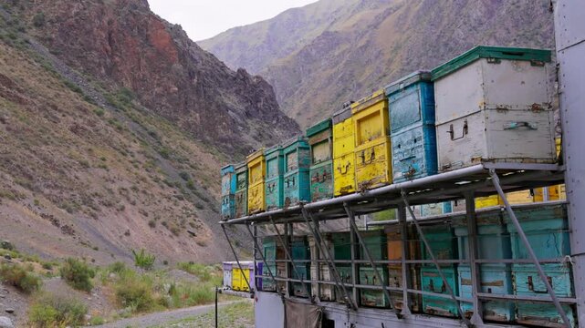 Colorful beehives, painted in various shades, rest on flatbed trailer. Rustic apiary setting in a serene mountainous valley under overcast skies.