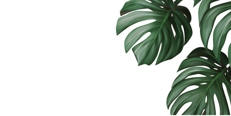 minimalist tropical leaf border on a coral background with copy space, a flat-lay banner for a summer vacation concept. green monstera leaves on a pink pastel-colored backdrop. a flat-lay of a green p