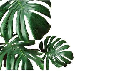 minimalist tropical leaf border on a coral background with copy space, a flat-lay banner for a summer vacation concept. green monstera leaves on a pink pastel-colored backdrop. a flat-lay of a green p