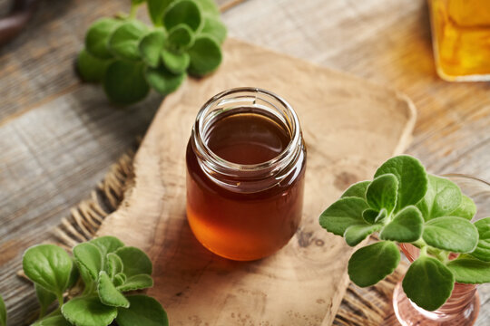 Coleus amboinicus syrup for common cold in a jar