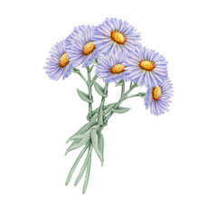Fototapeta premium Hand-drawn watercolor illustration of bouquet of blue daisies with golden center, green stem with leaves, rendered in realistic style. For prints, stationery, textiles, invitations, botanical decor.