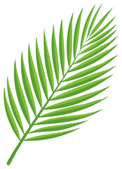 Obraz premium Vibrant Green Palm Leaf Vector Illustration Tropical Summer Foliage Element