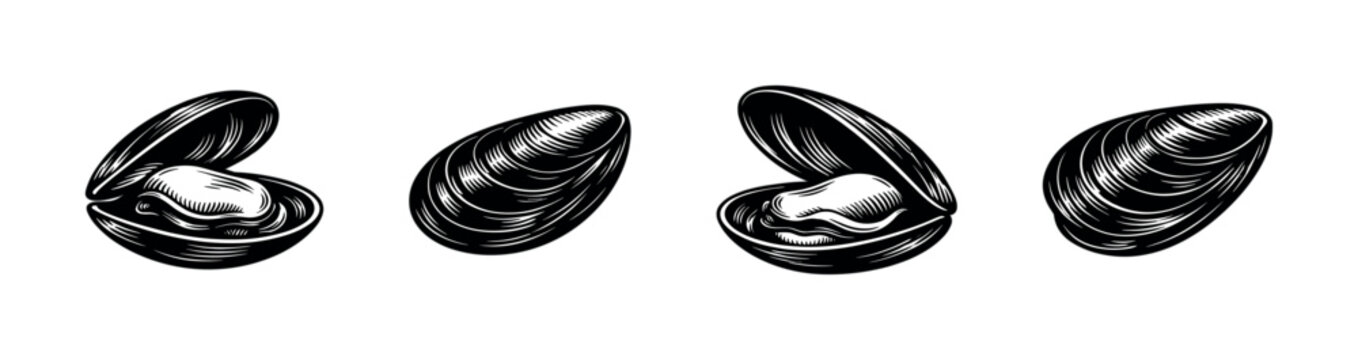 Clam shell flat vector icons set. seafood and ocean-themed marine illustrations collection