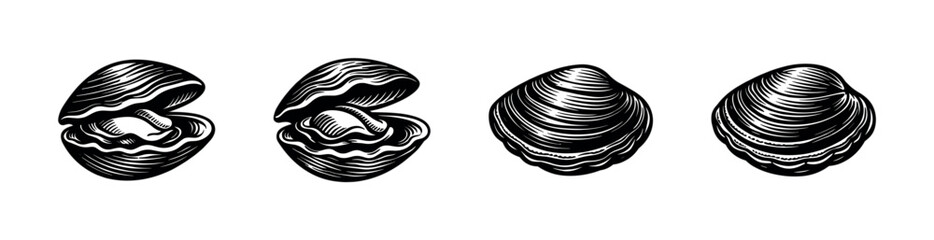 Flat vector icons set: clam shells, nautical illustrations, marine art design collection