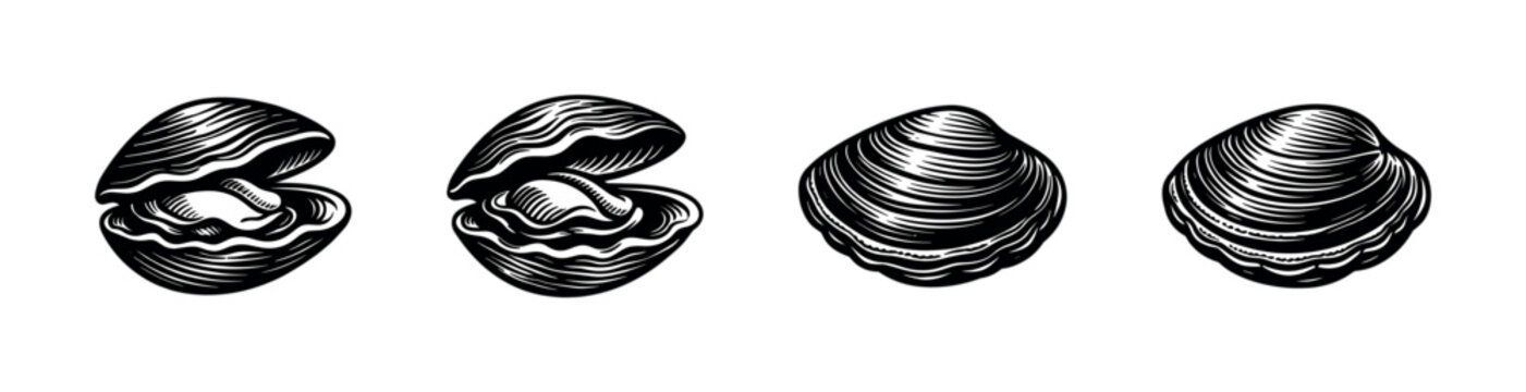 Flat vector icons set: clam shells, nautical illustrations, marine art design collection