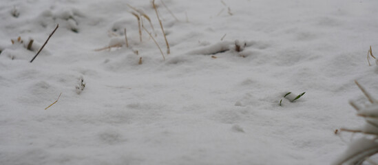The yard is covered with thick snow
