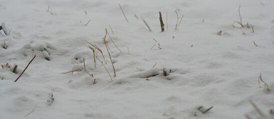 The yard is covered with thick snow