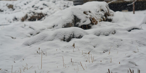 The yard is covered with thick snow