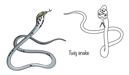 Twig snake