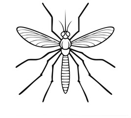 Fototapeta premium Detailed Line Art Illustration of a Mosquito with Open Wings and Long Legs