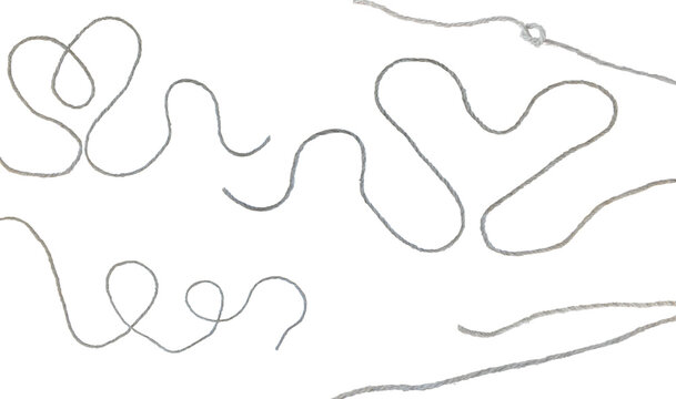 Threads on a white background. Selective focus. Isolate.
