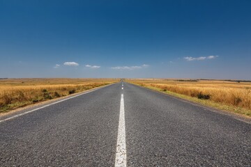 Obraz premium Wide road stretches into the distance under a clear sky with fields on both sides during midday