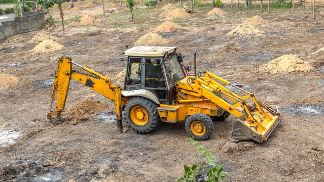 Backhoe loader digging to plant coconut trees on bare land.