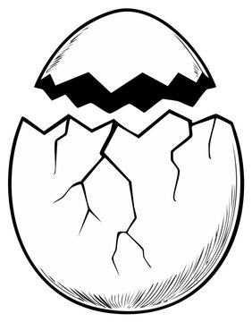 Hatching egg illustration, cracked shell with hatching process revealed, isolated design element