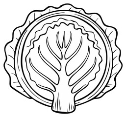 Cross section illustration of a crisp green cabbage revealing layered leaves and a central stem