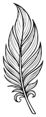 Obraz premium Detailed decorative bird feather outline art graphic design element elegant ornate style illustration