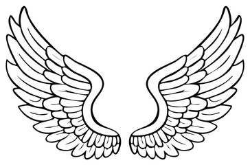 Obraz premium Line Art Illustration of Angel Wings or Bird Wings with Detailed Feathering