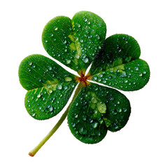 Perfect macro shot of a clover with raindrops, capturing St Patricks Day spirit in a studio setting