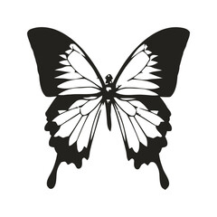 Film & Video © A sawdagar