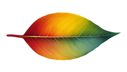A vibrant rainbow-colored leaf against a white background