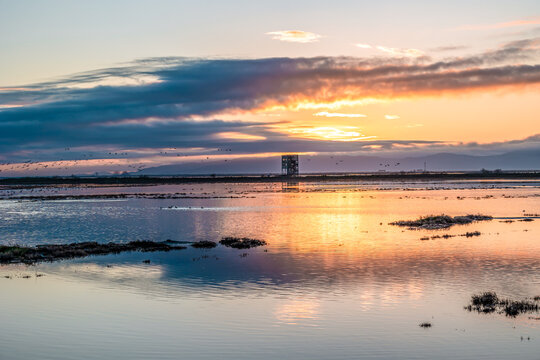 Sunset or sunrise on National park of Evros Delta, near Alexandroupolis and Turkish border, Dadia forest and protected wetland, bird migratory season