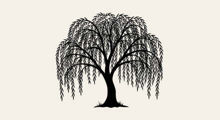A serene willow tree stands alone in a quiet landscape viewed from the front © Steven