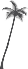 Obraz premium Tropical nature plant black icon. Beach palm