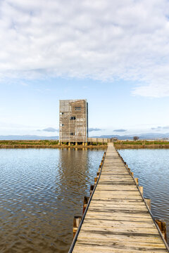 Panoramic view of the National Park of Evros Delta, near Alexandroupolis and Turkish border, Dadia forest and protected wetland, cloudy sky