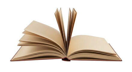 An open book with pages revealing its ancient, weathered wisdom and history