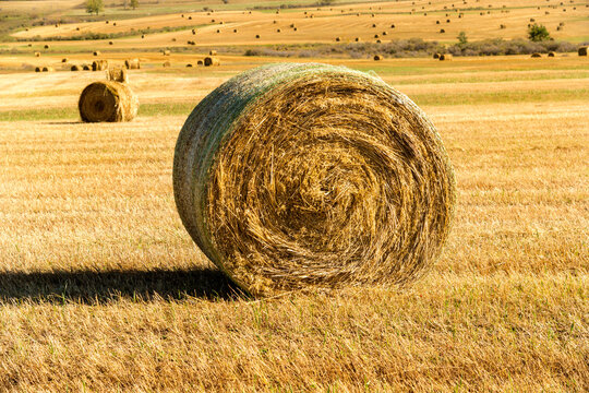 Canada, Alberta, Turner Valley.  A giant hay bale in ranchland south of Calgary