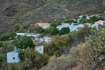 Obraz premium El Draguillo village with disused terraces Anaga