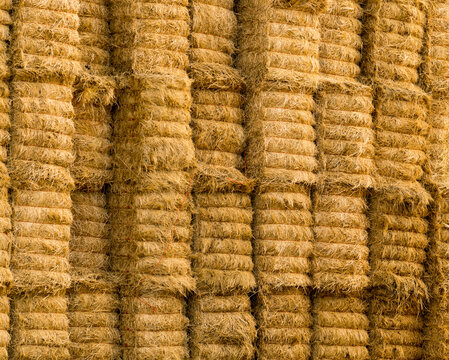 Canada, BC, Cache Creek.  Hay bails stacked in field after harvest in the fall.