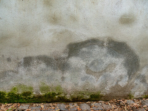 Feuchte und stark verschmutzte Hauswand