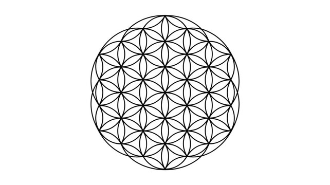 Intricate flower of life pattern in black lines on white background