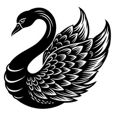 Obraz premium Black swan with elaborate feathers swimming in the water on a bright sunny day in a park Generative AI