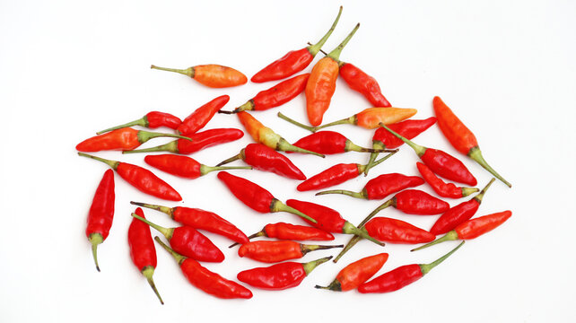 Red cayenne pepper (cabe rawit merah) isolated on white background
