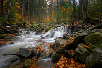 Jesienny potok. © Adam