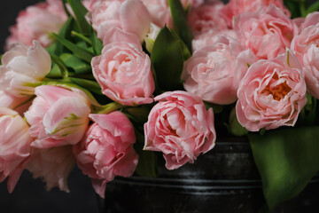 A horizontal spring composition showcasing lush pink double tulips (Tulipa gesneriana) arranged in a rustic dark metal vase. The flowers appear freshly cut, with soft layered petals © Ostrovskajah