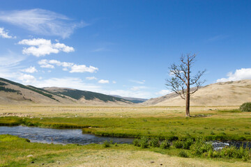 Landscape from Altai Tavan Bogd National Park, Mongolia