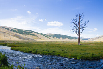 Landscape from Altai Tavan Bogd National Park, Mongolia