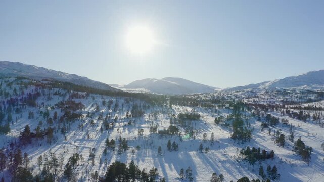 Aerial drone flying over snowy Norwegian mountain forest landscape in winter sunnlight.