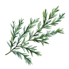 Obraz premium Artemisia Branch A Beautifully Detailed, watercolor vector portraying a joyful pose with colorful highlights, isolated on a white background.