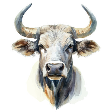 Anoa A Beautifully Detailed, watercolor artwork with bold brush accents and dynamic composition, isolated on a white background.