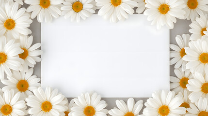 Fototapeta premium Daisy flowers and a paper frame with copy space 